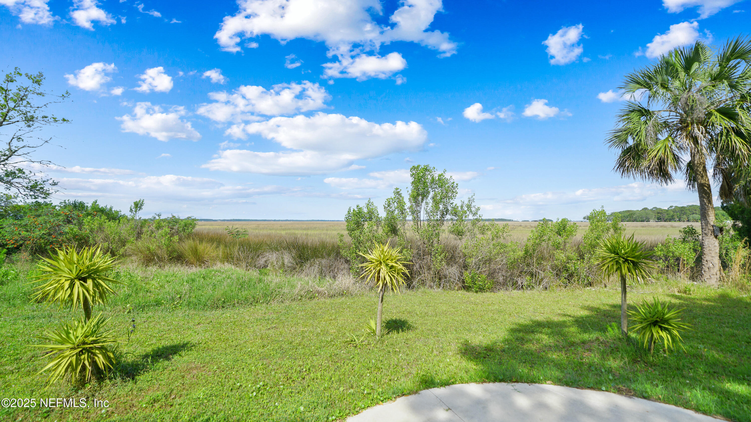 15592 Shark Road West Jacksonville, FL 32226 - Photo 29 of 46 15592 Shark Rd W-28