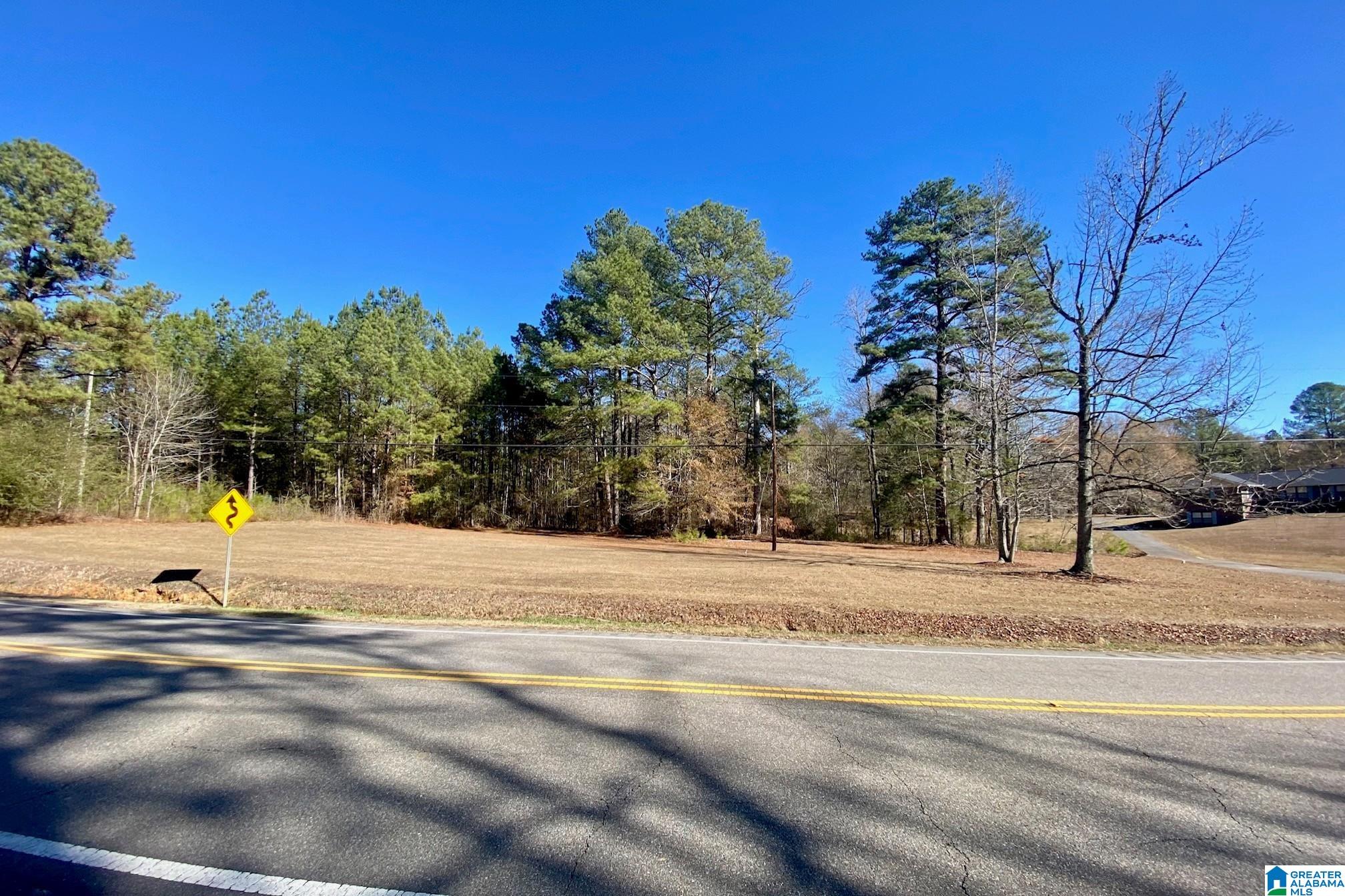 958 Chelsea Road Columbiana, AL 35051 - Photo 1 of 16