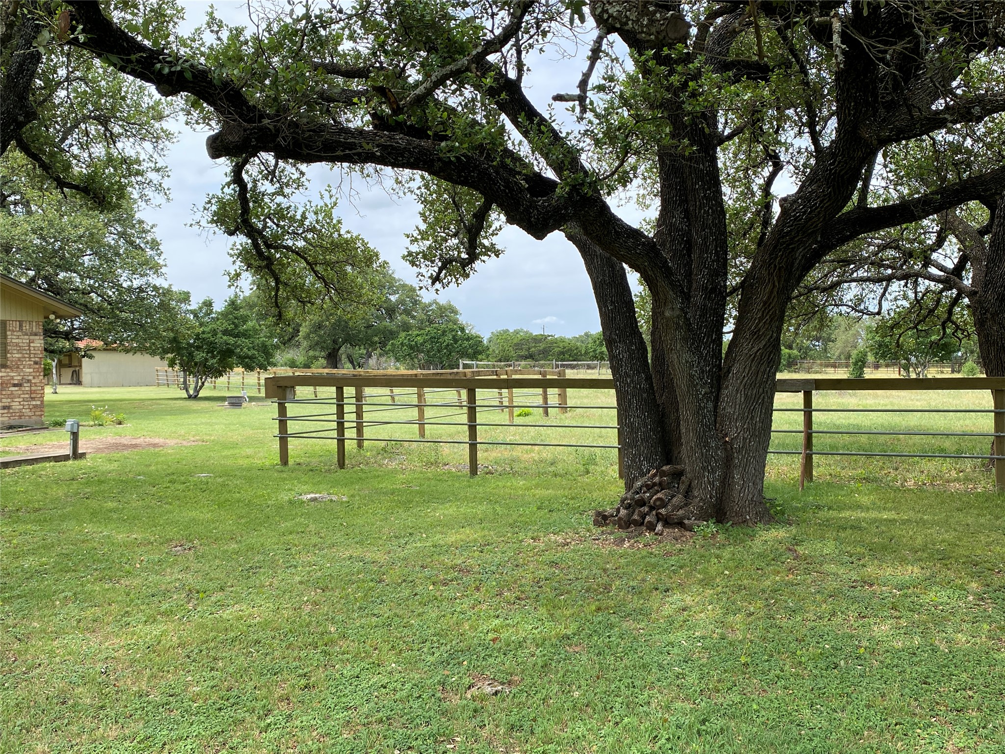 140 Oak Ridge Road Georgetown, TX 78628 - Photo 14 of 40 View of yard