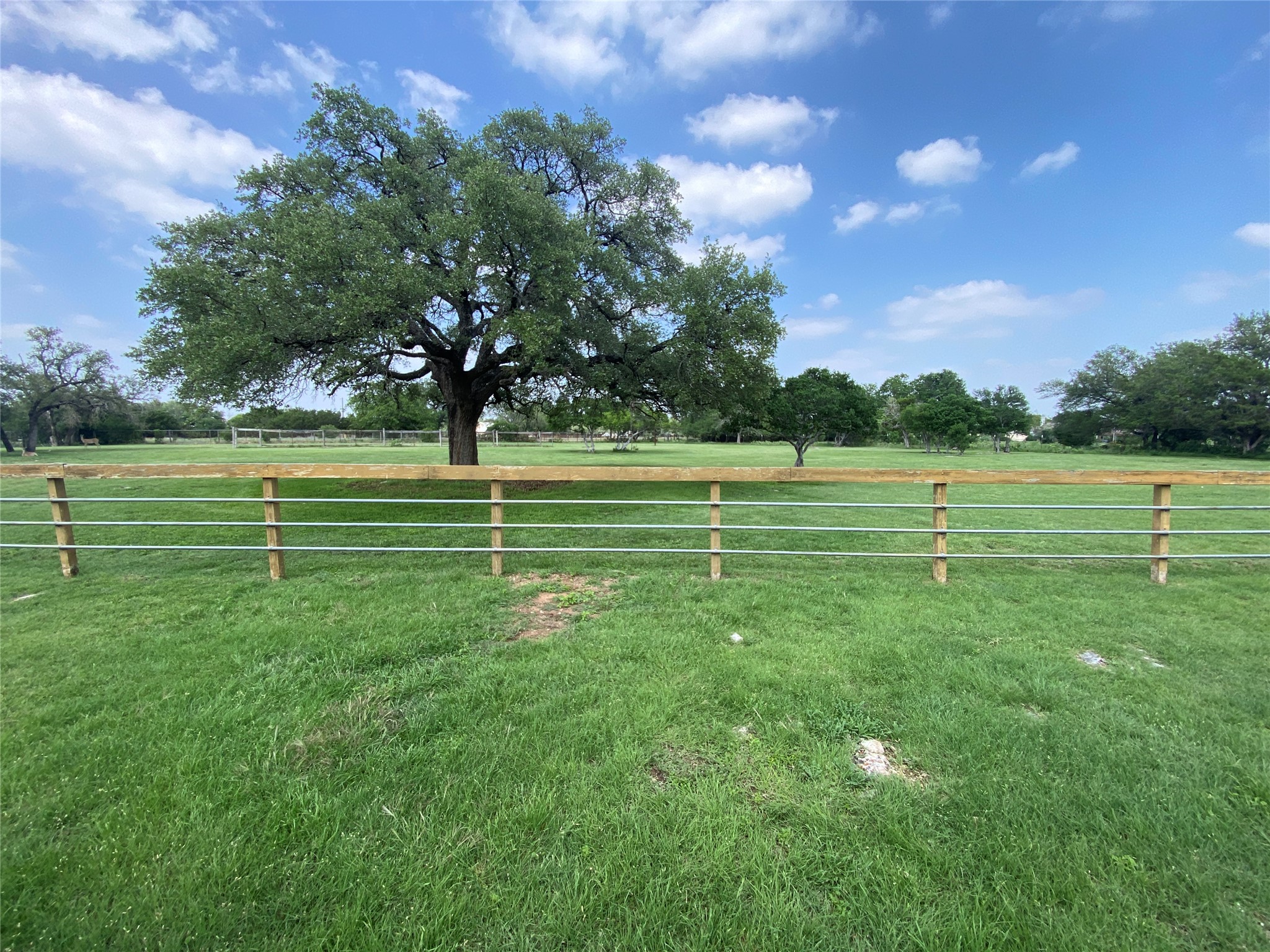 140 Oak Ridge Road Georgetown, TX 78628 - Photo 15 of 40 Expansive green space featuring a sturdy wood post and rail fence