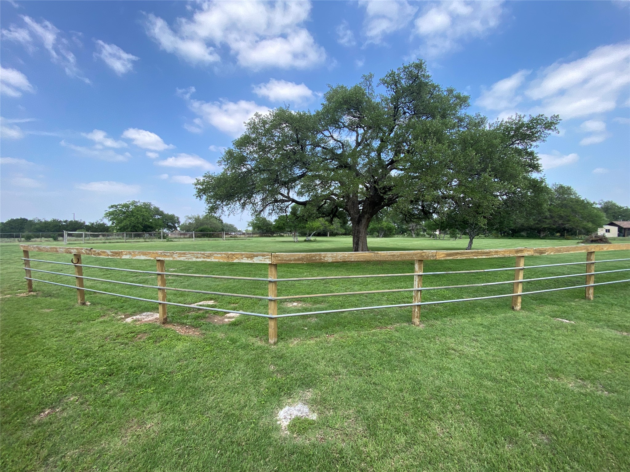 140 Oak Ridge Road Georgetown, TX 78628 - Photo 16 of 40 Expansive green space featuring a large, mature tree