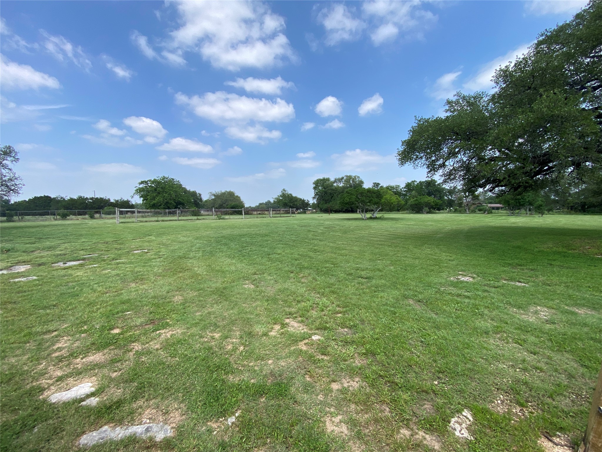 140 Oak Ridge Road Georgetown, TX 78628 - Photo 18 of 40 Expansive green lawn with scattered natural stone accents