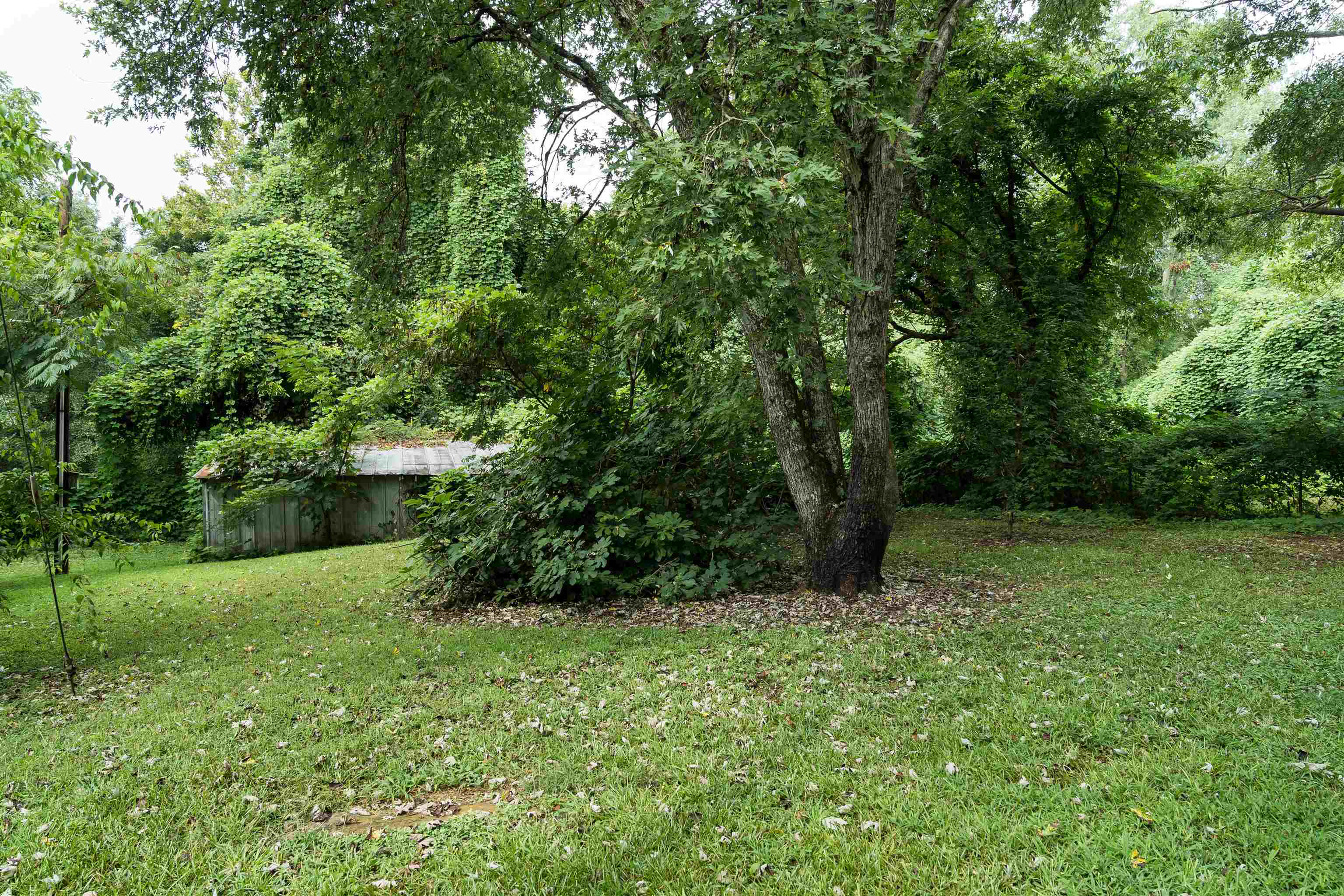 201 Cedar Crest Road Spartanburg, SC 29301 - Photo 8 of 21