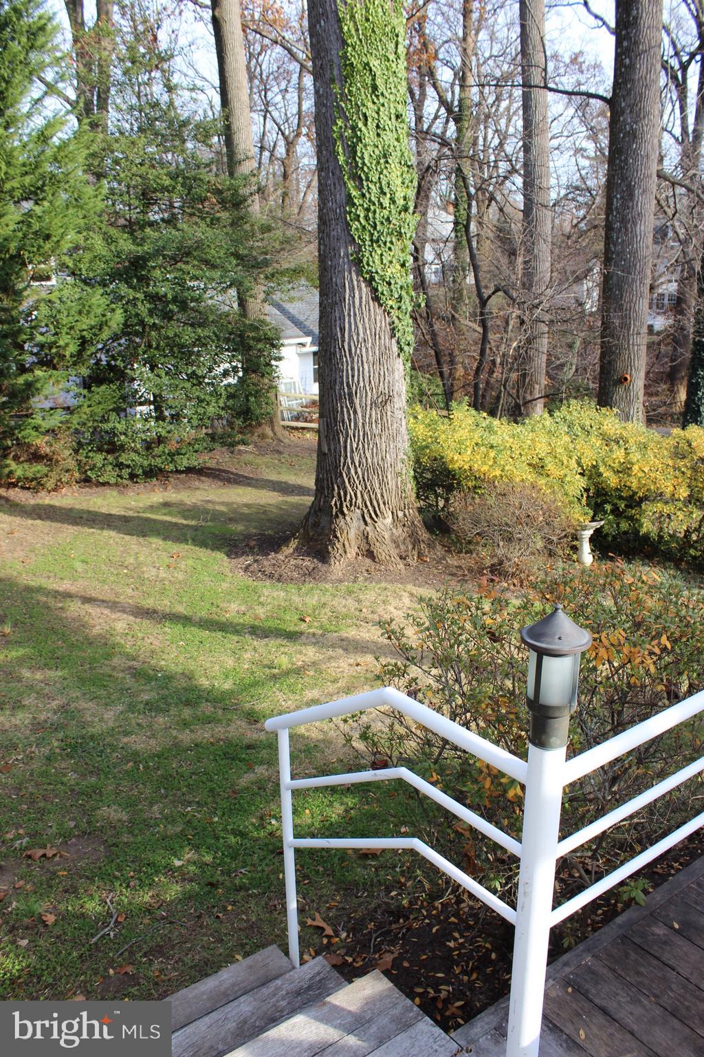 4 Sherwood Road Annapolis, MD 21401 - Photo 12 of 46 lovely yard