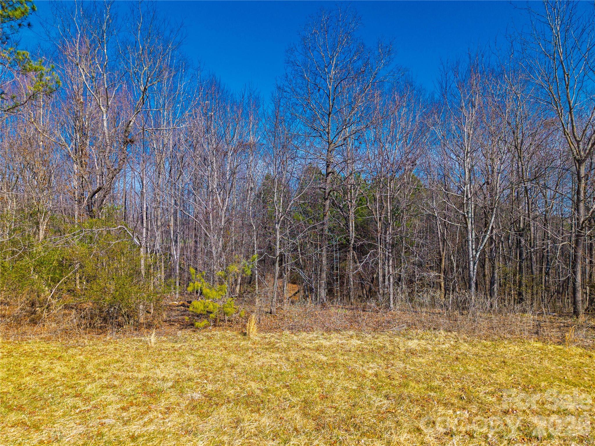 0 Hovis Road Lincolnton, NC 28092 - Photo 38 of 42 Gallery Image 38