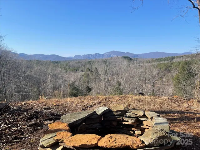 a view of a mountain with a tree in the background