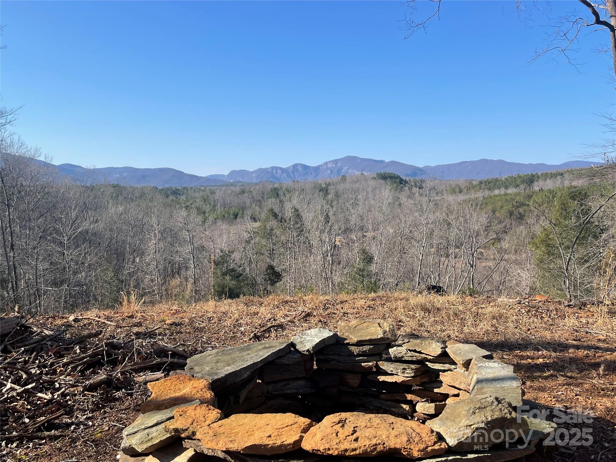 Tbd South Cross Crk Trail Mill Spring, NC 28756 - Photo 2 of 9 a view of a mountain with a tree in the background