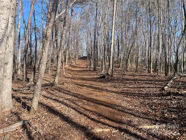 a view of a backyard with trees