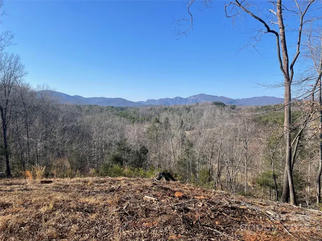 a view of a mountain range with trees in the background