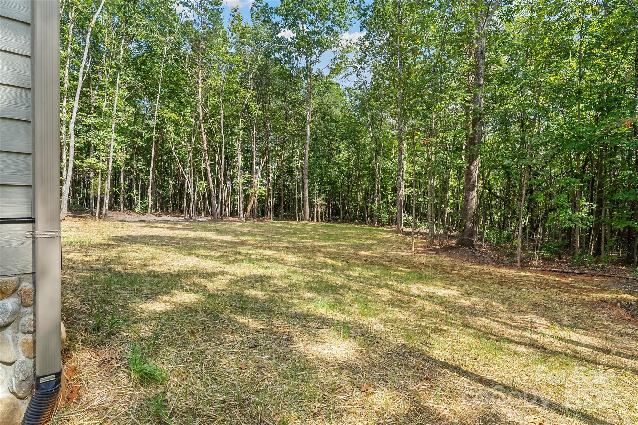5251 Mt Olive Church Road Morganton, NC 28655 - Photo 39 of 43 a view of outdoor space with trees