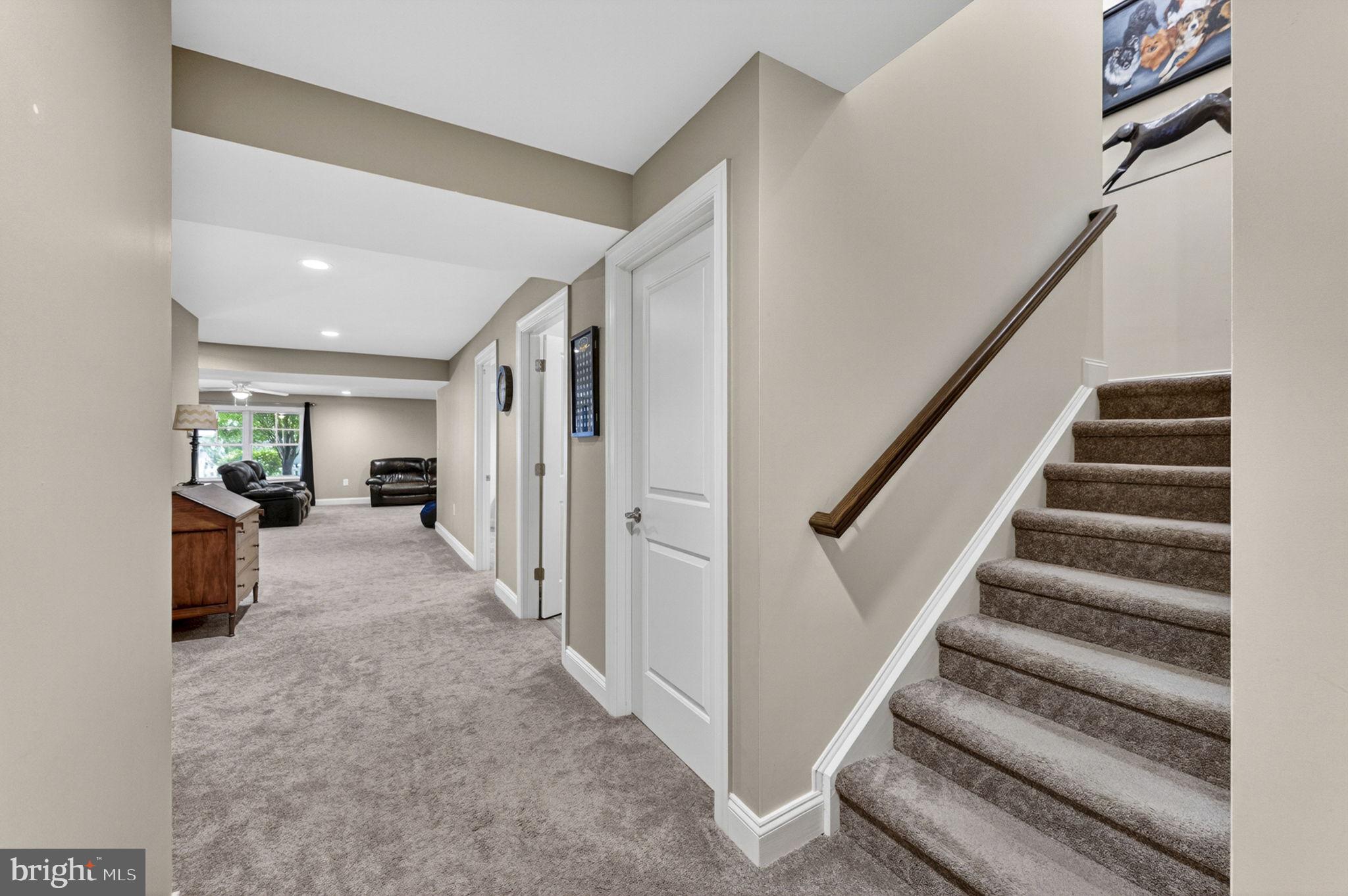 109 Tutelo Lane White Post, VA 22663 - Photo 35 of 54 a view of entryway with wooden floor and a potted plant