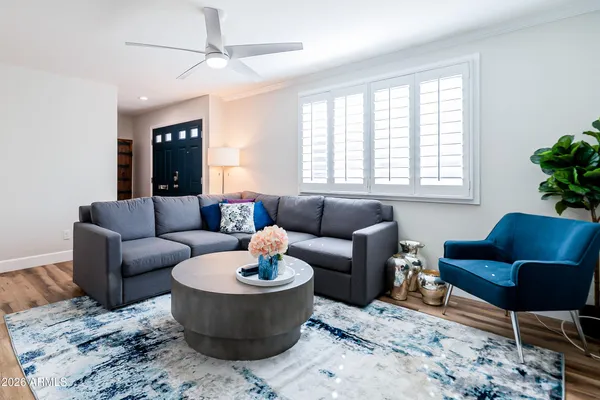 a living room with furniture and a potted plant