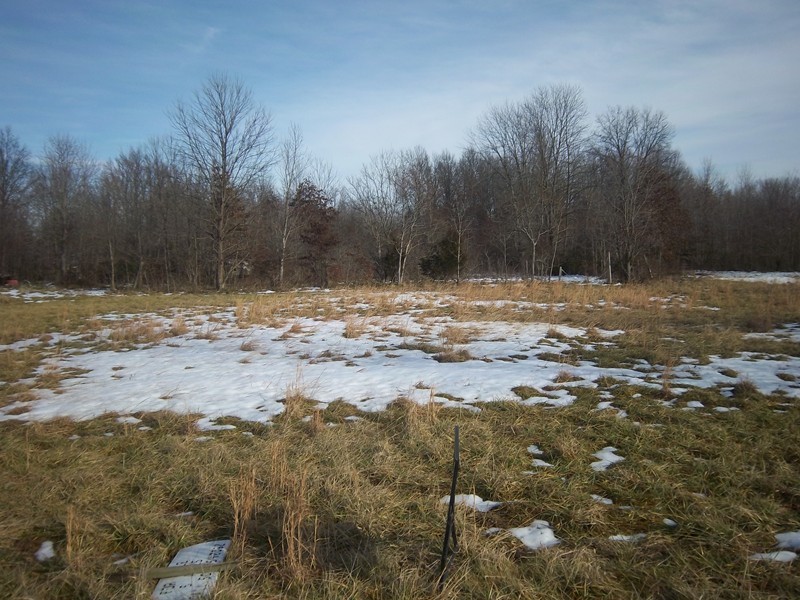 Tbd Illinois Steel Road Marion, IL 62959 - Photo 1 of 1 Gallery Image 1