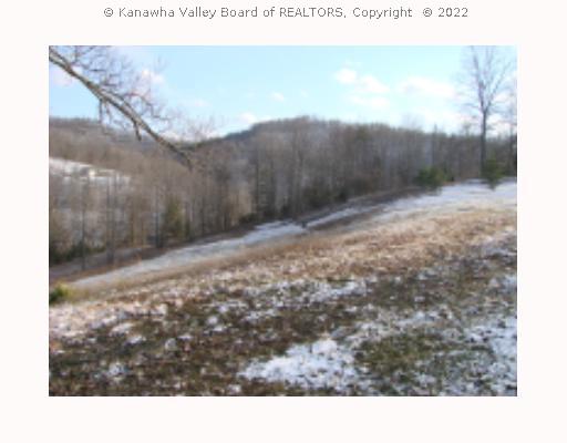230 Frame Road Elkview, WV 25071 - Photo 7 of 8 Land/Lot.