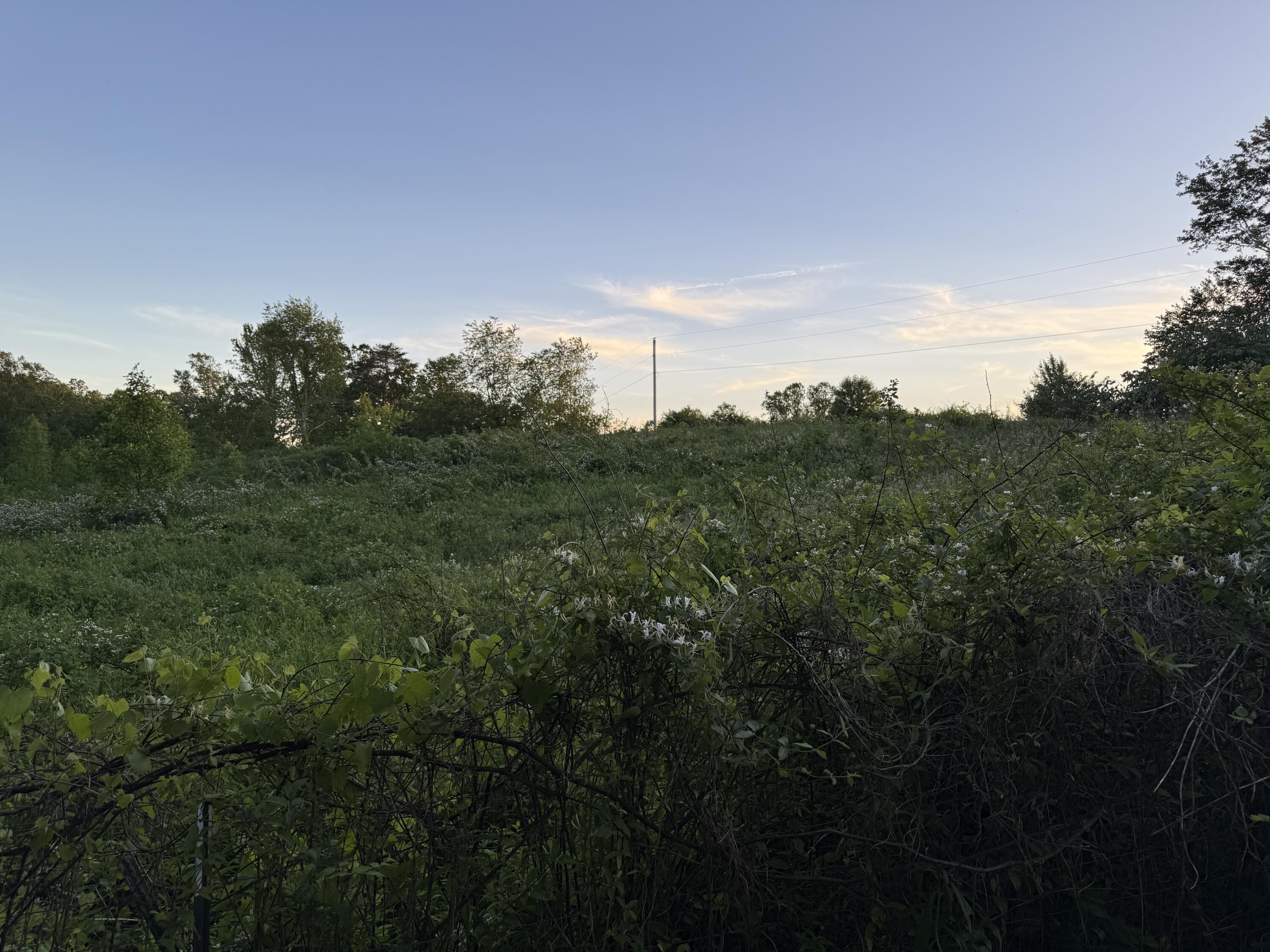 2271 Patton Road East Bernstadt, KY 40729 - Photo 5 of 12 IMG_9331