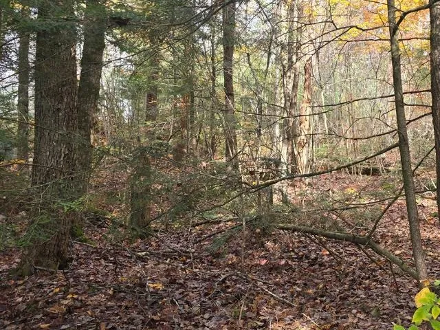 $25,000 | 44 Huntington Drive, Hillsborough, NH 03244