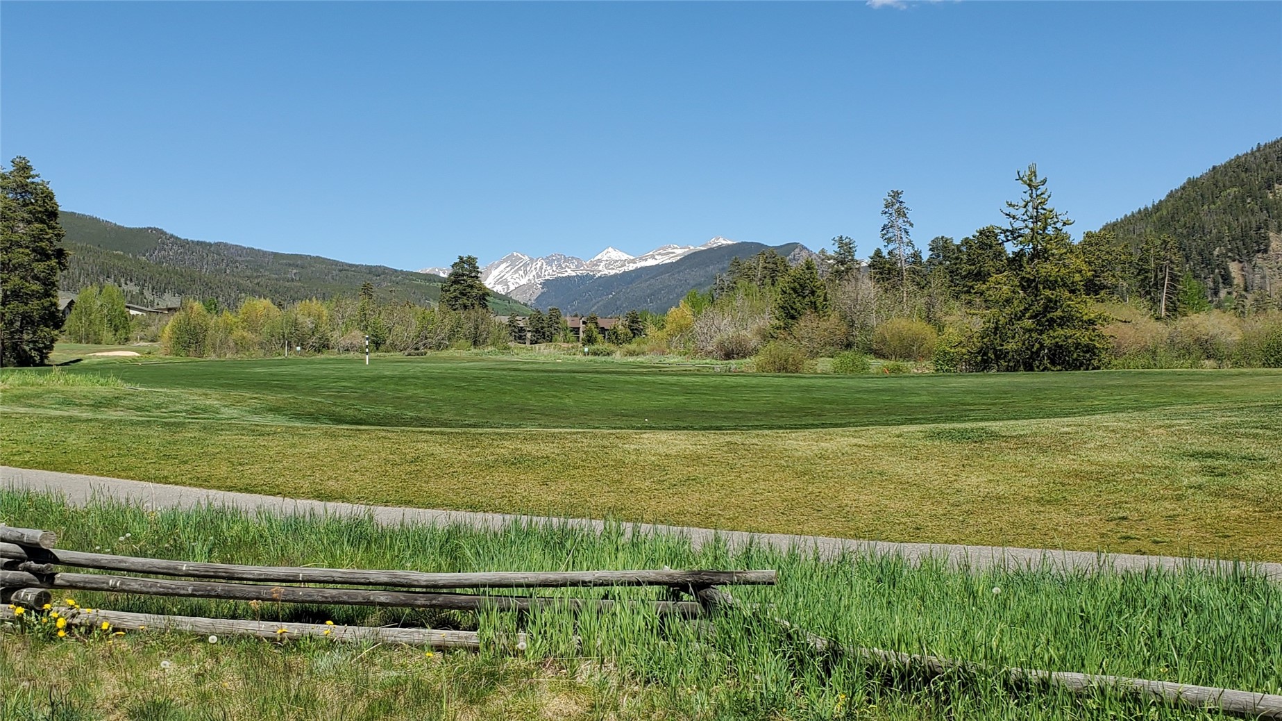 620 Tennis Club Road, Unit 1337 Keystone, CO 80435 - Photo 47 of 48 a view of a grassy field with an trees
