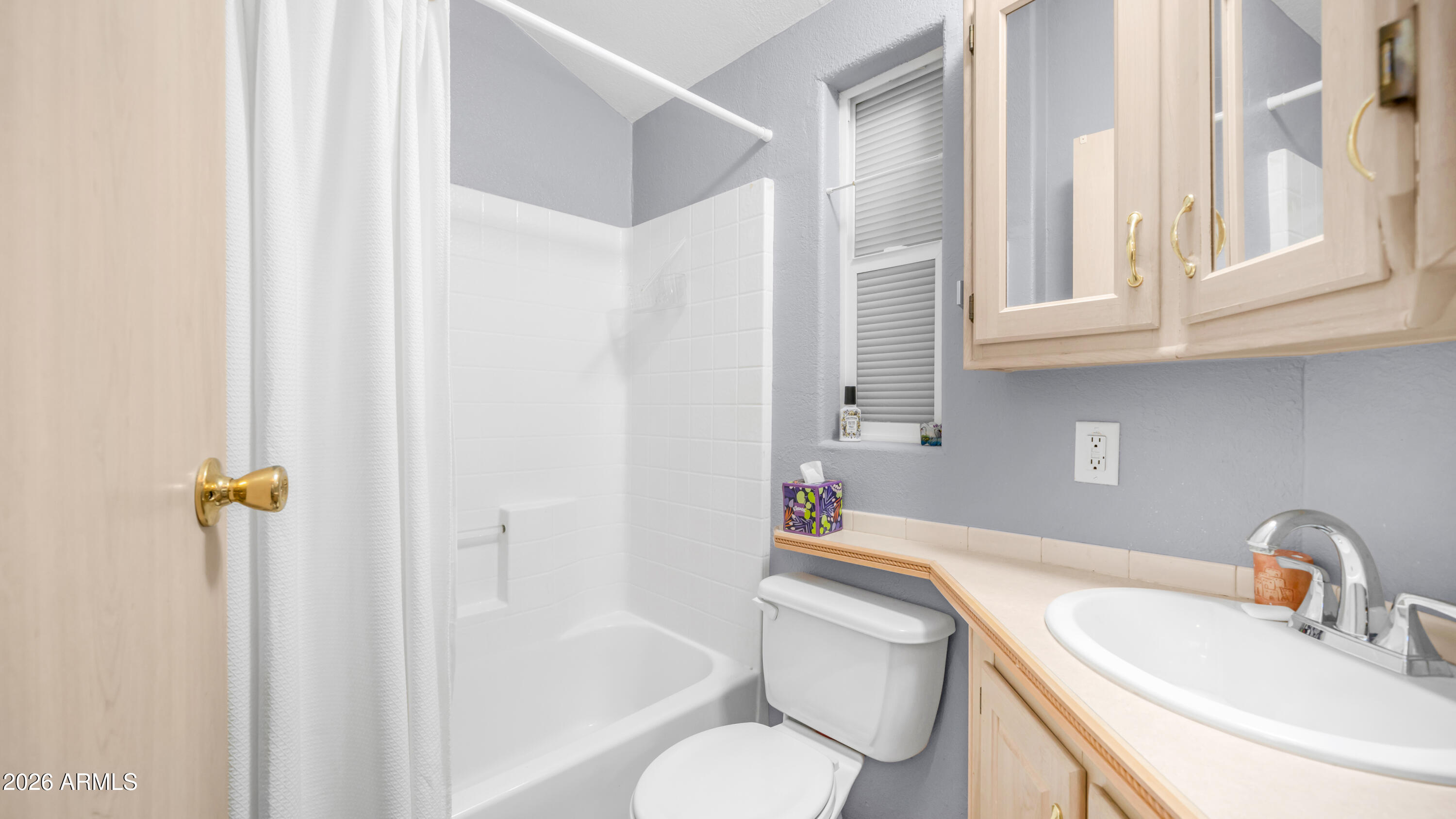 600 South Idaho Road Apache Junction, AZ 85119 - Photo 19 of 63 a bathroom with a sink toilet and shower
