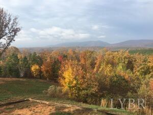 34 Brights Road Pittsville, VA 24139 - Photo 11 of 18 a view of an ocean