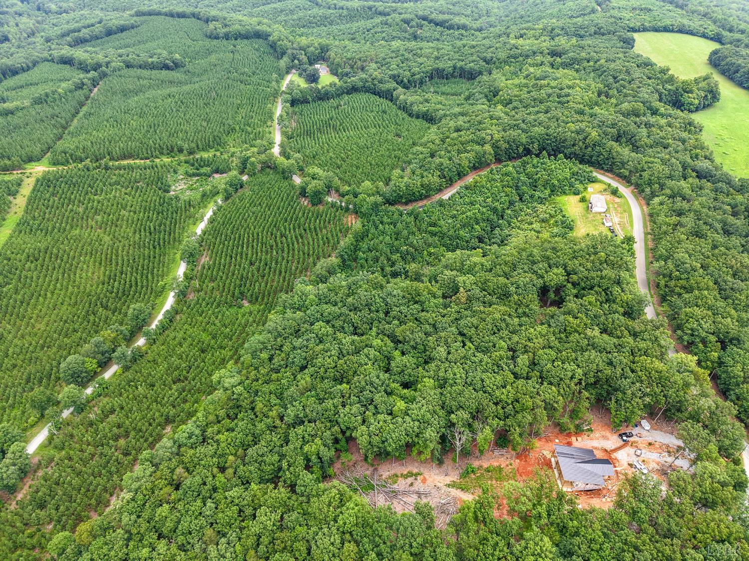 34 Brights Road Pittsville, VA 24139 - Photo 15 of 18 a backyard of a house with a yard and large trees