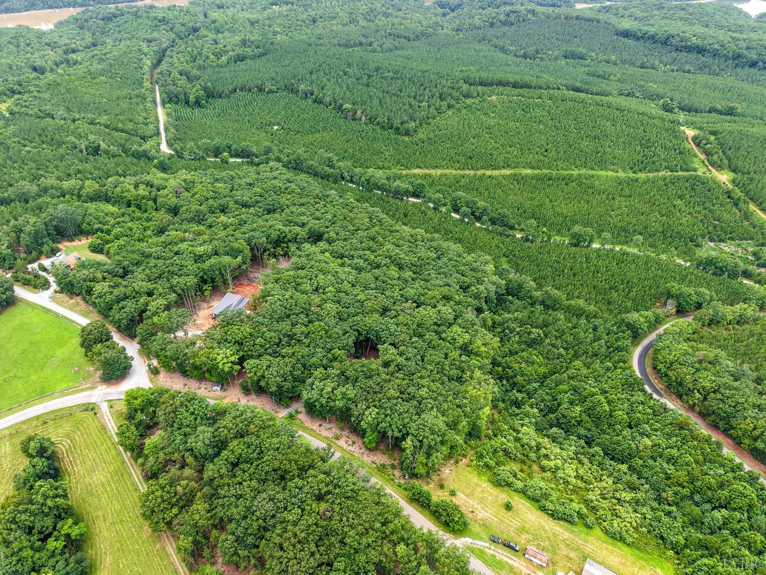 34 Brights Road Pittsville, VA 24139 - Photo 16 of 18 a view of a lush green forest