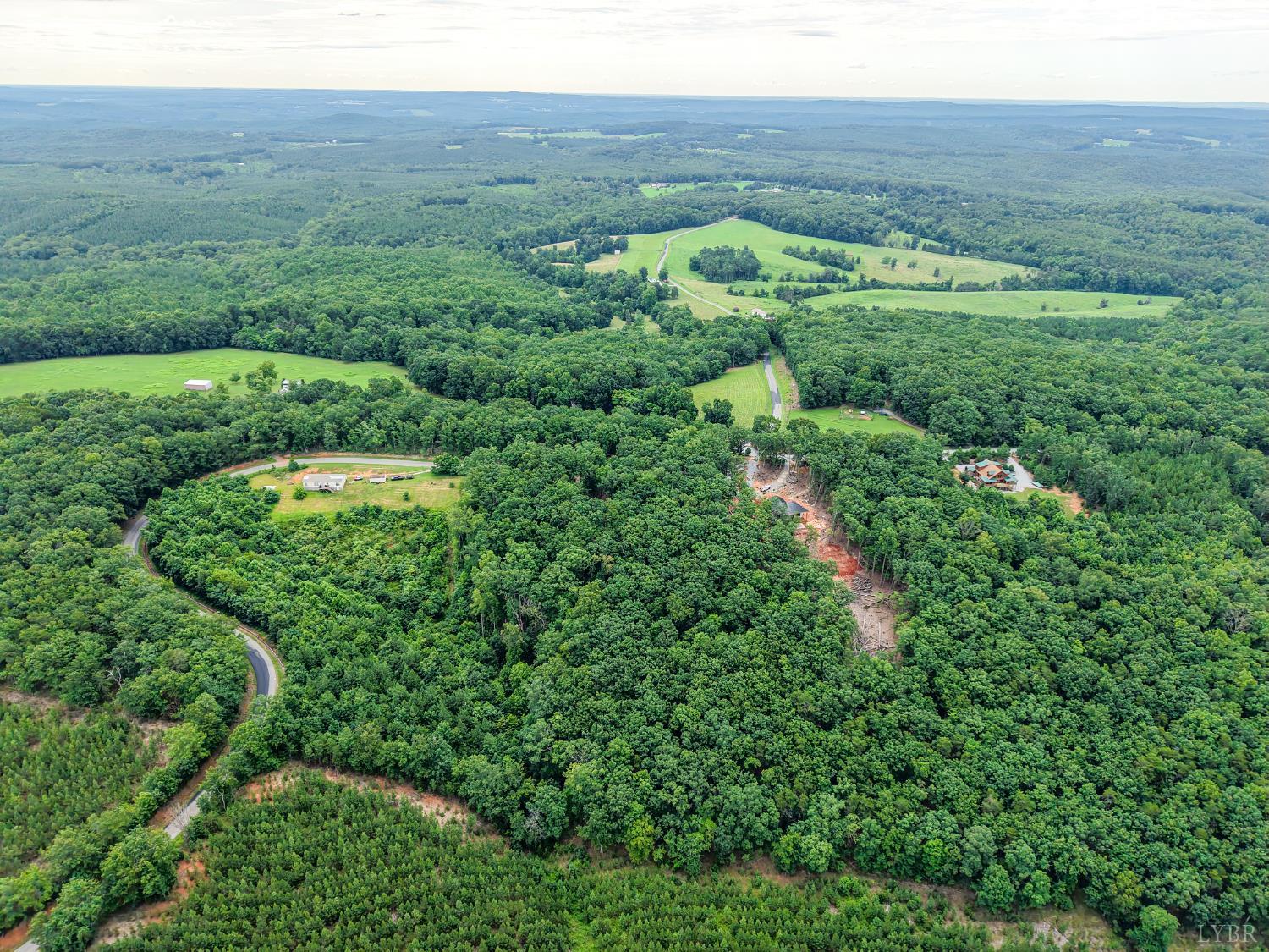 34 Brights Road Pittsville, VA 24139 - Photo 17 of 18 a view of a lush green forest with lush green forest