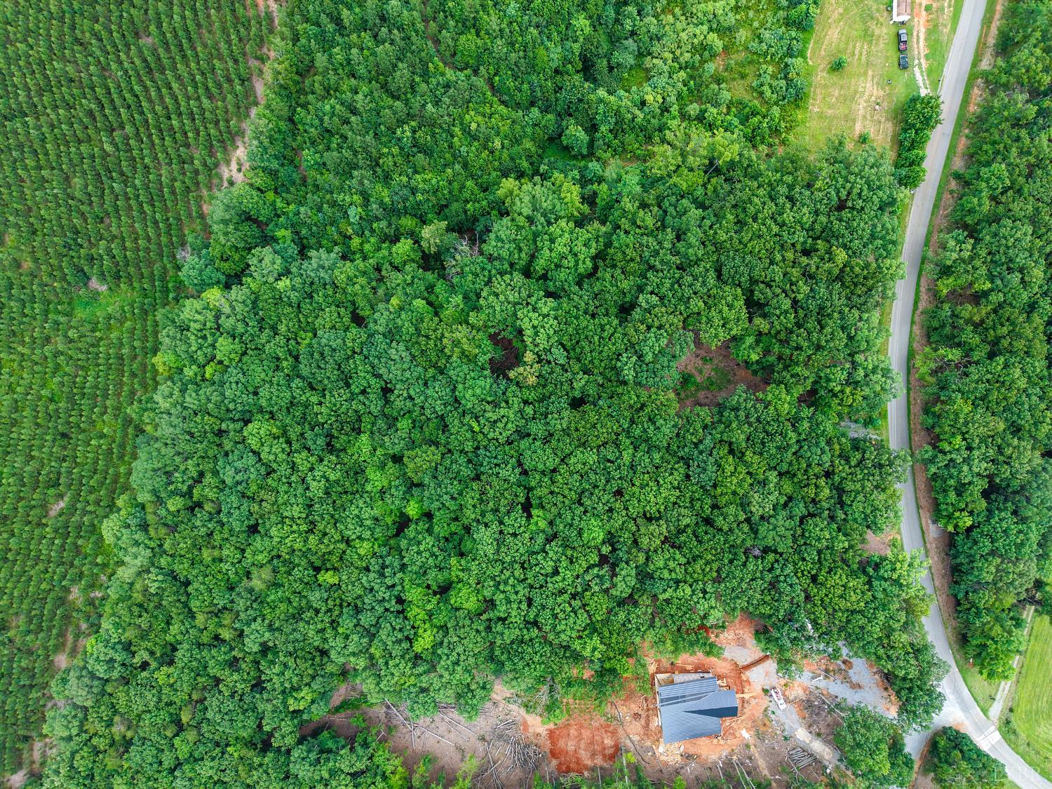 34 Brights Road Pittsville, VA 24139 - Photo 3 of 18 a backyard of a house with lots of green space
