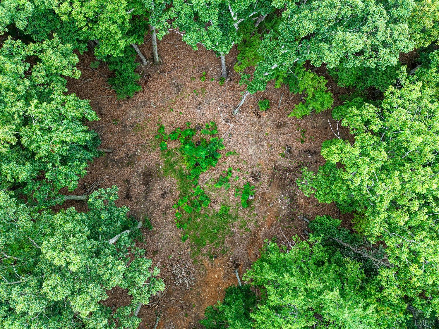 34 Brights Road Pittsville, VA 24139 - Photo 5 of 18 a backyard of a house with lots of green space