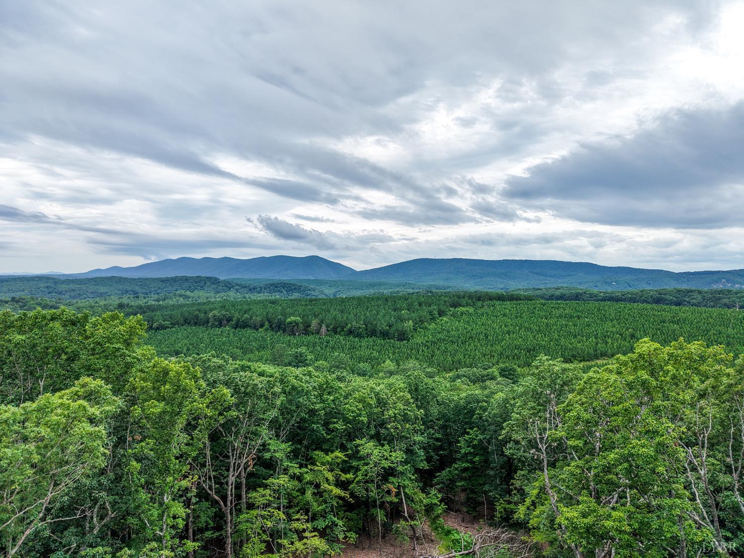 34 Brights Road Pittsville, VA 24139 - Photo 8 of 18 a view of a city with lush green forest