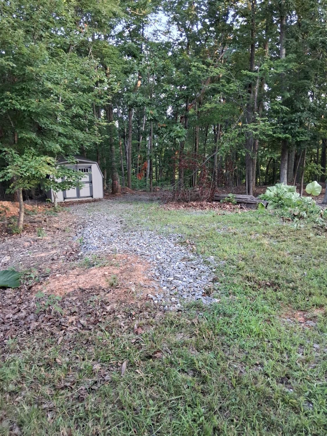 34 Brights Road Pittsville, VA 24139 - Photo 10 of 18 a view of a backyard with large trees and plants
