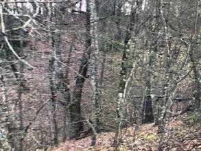 140 Bent Tree Lane Sevierville, TN 37862 - Photo 1 of 1