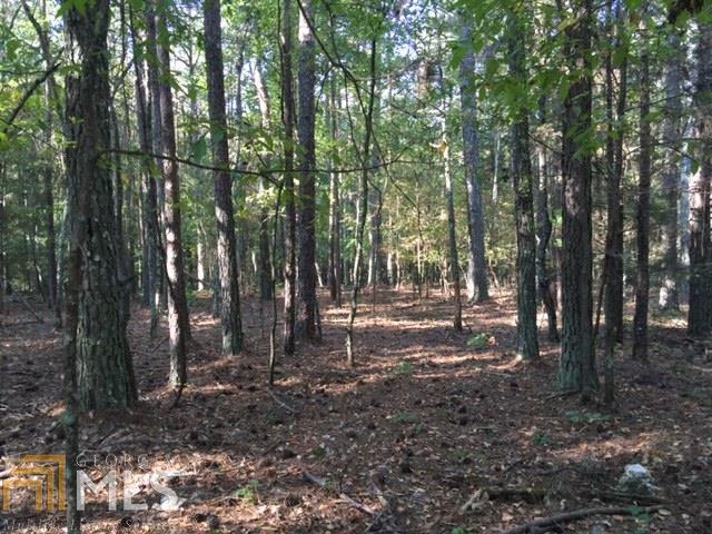 0 Massengale Road Kingston, GA 30145 - Photo 1 of 1