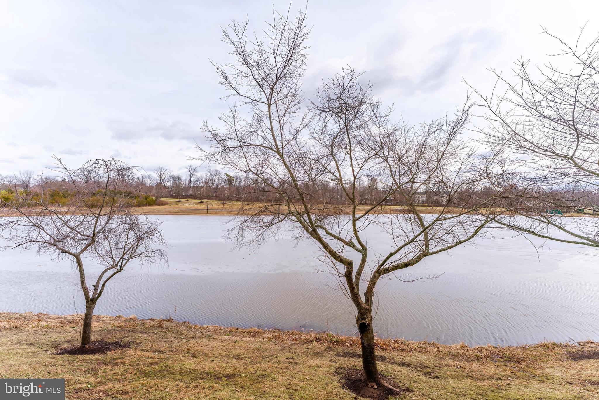 25280 Lake Shore Square, Unit 102 Chantilly, VA 20152 - Photo 32 of 41 a view of lake with a tree