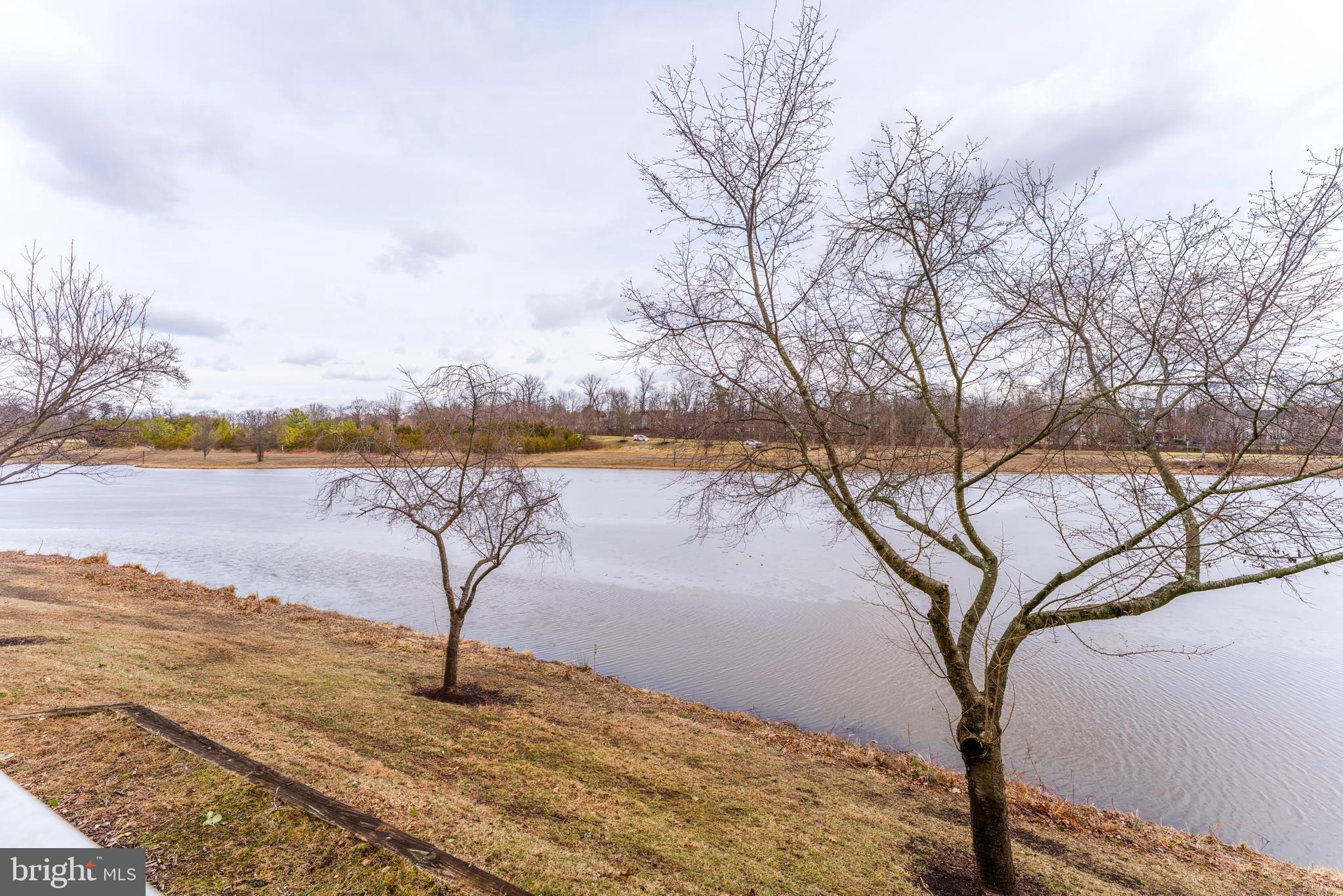 25280 Lake Shore Square, Unit 102 Chantilly, VA 20152 - Photo 33 of 41 a view of a lake with a yard