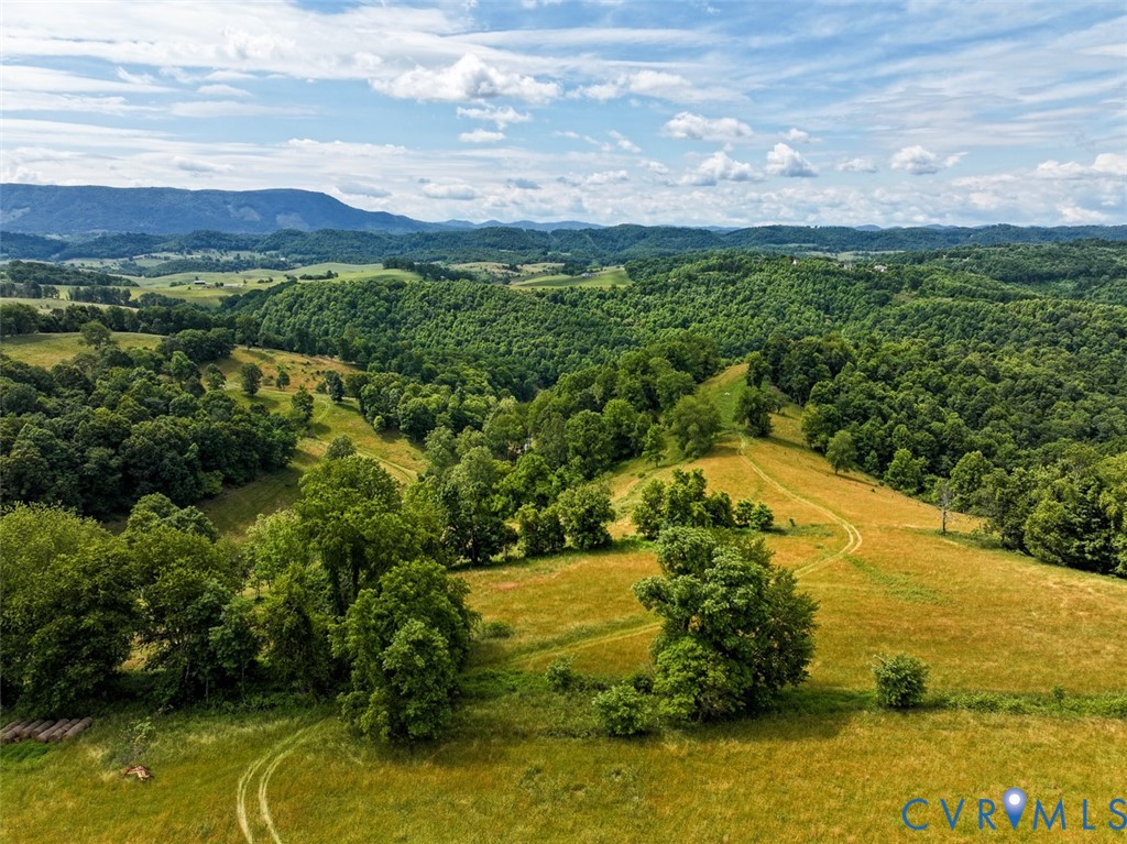 453 Long Hollow Road Cleveland, VA 24225 - Photo 9 of 50