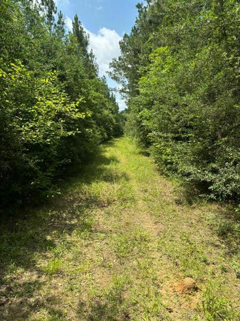 0 East Lewiston Road Kentwood, LA 70444 - Photo 26 of 26 Photo 27
