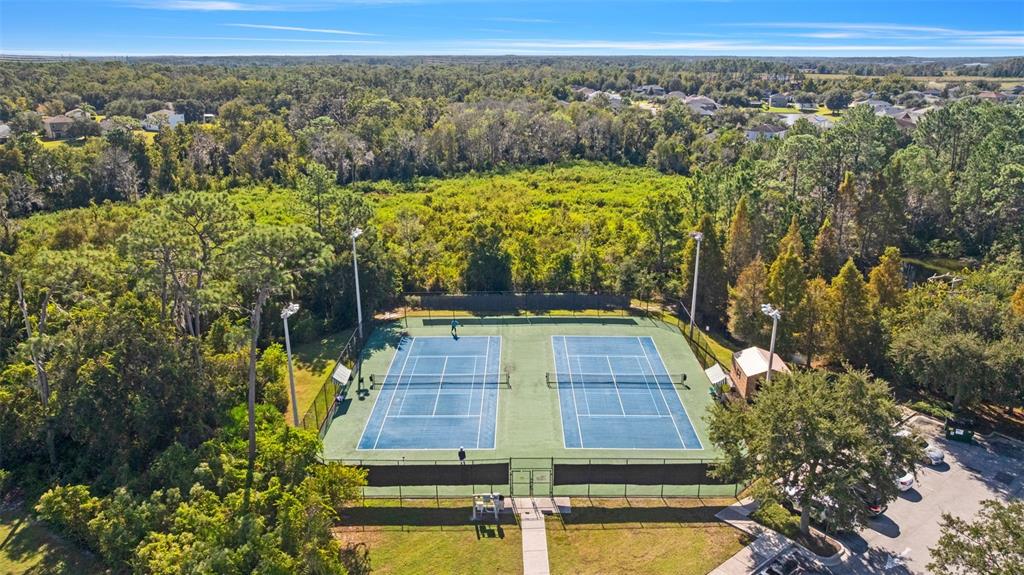 4352 English Turn Way Wesley Chapel, FL 33543 - Photo 53 of 57