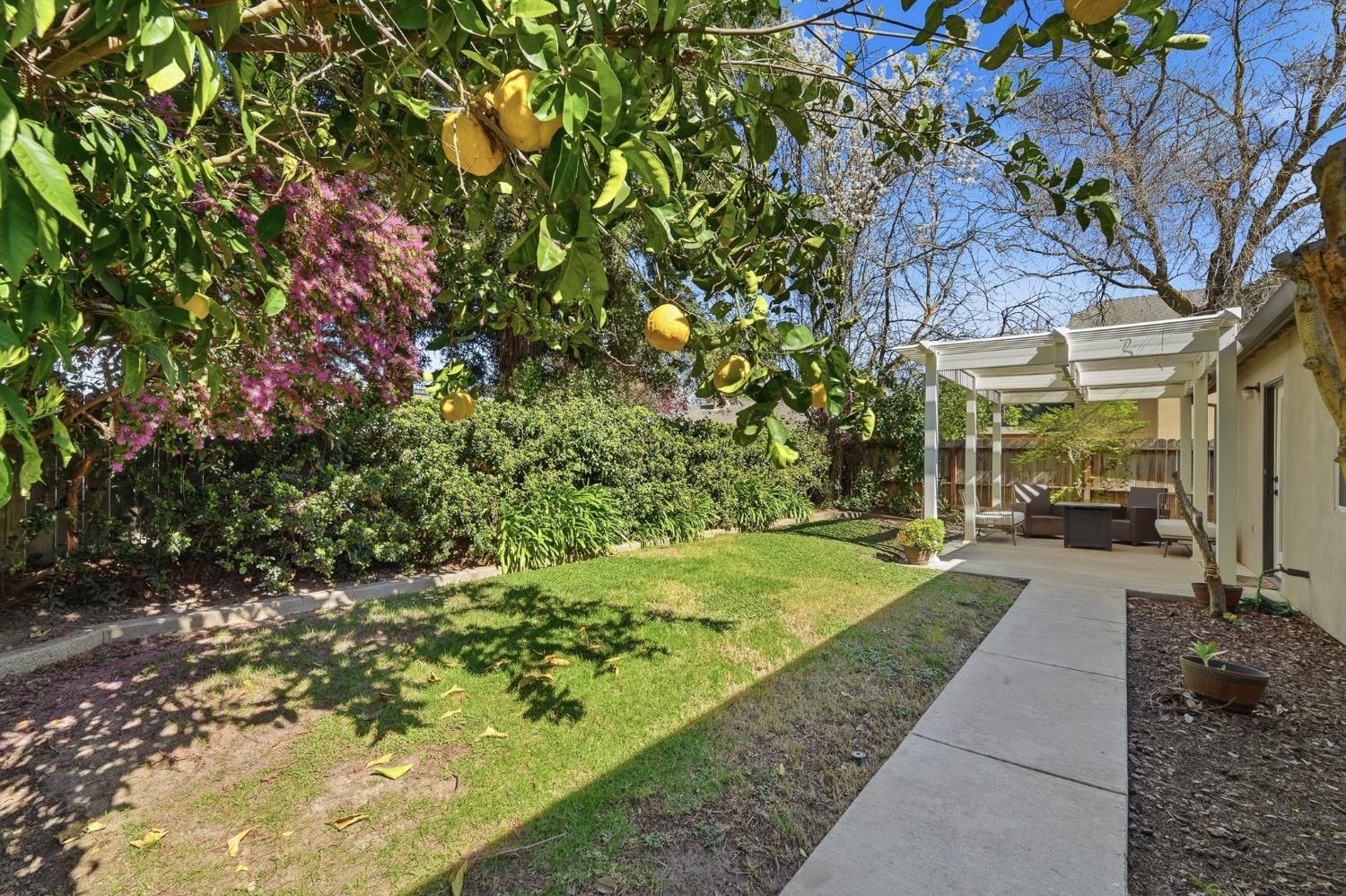 3409 Friar Tuck Way Modesto, CA 95355 - Photo 44 of 46 a view of a back yard of the house