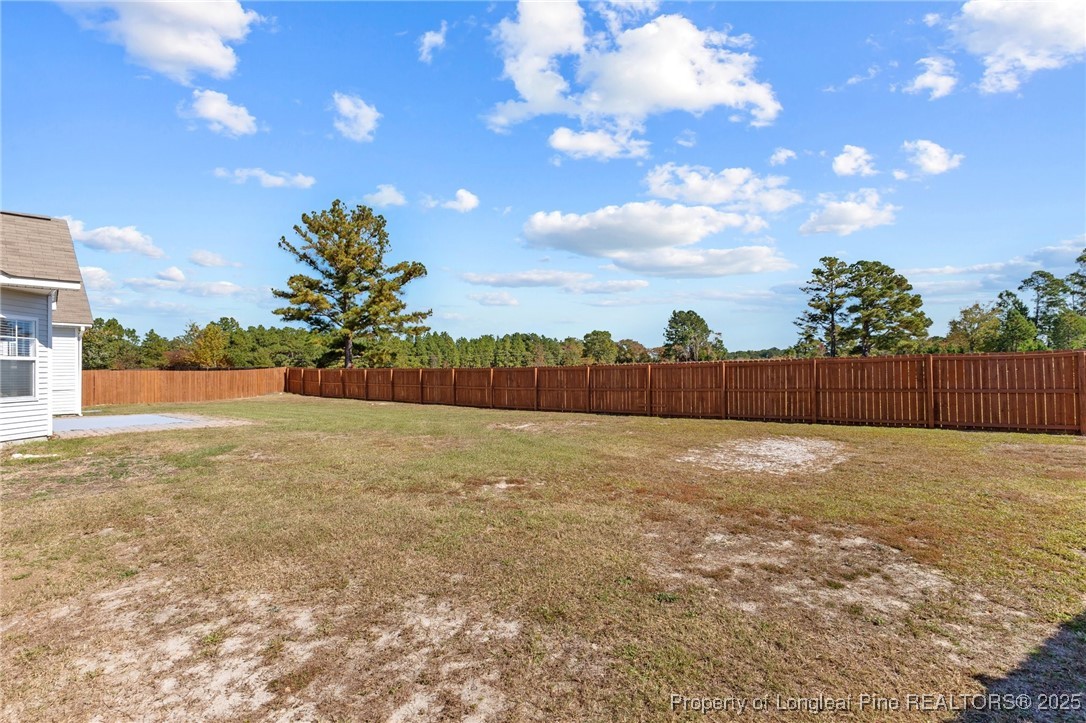 12 Turnbridge Way Spring Lake, NC 28390 - Photo 35 of 46 a view of a yard with a tree