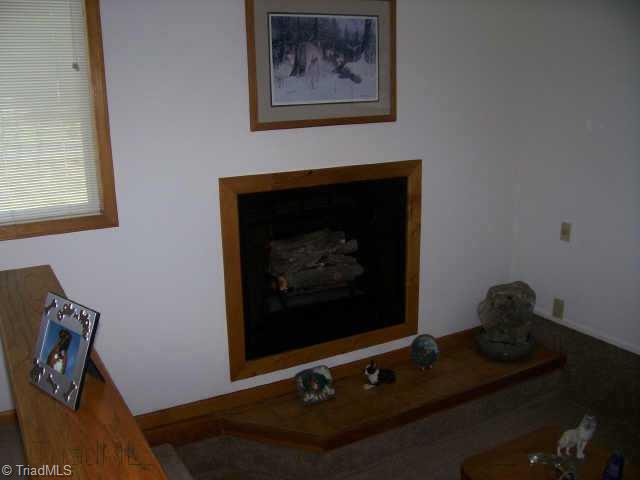 1203 Spring Street King, NC 27021 - Photo 3 of 7 Other.