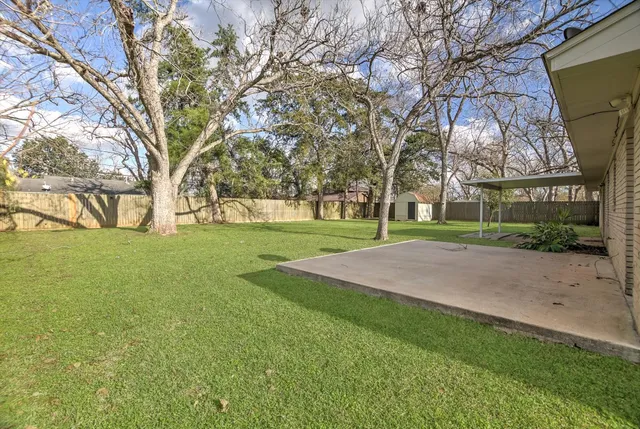 a view of a park with tree s