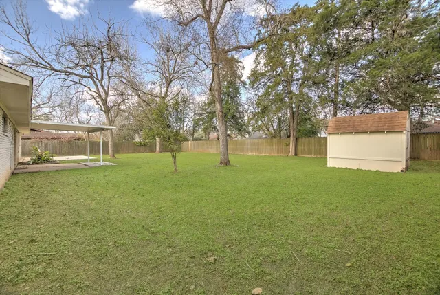 a view of a park with large trees