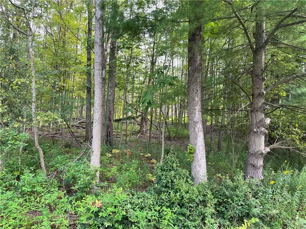 $58,500 | 0 Valley View Drive, Elmira, NY 14903