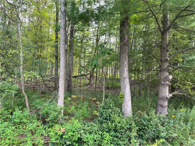 $67,000 | 0 Valley View Drive, Elmira, NY 14903