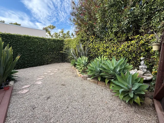 a view of a yard with plants and a tree