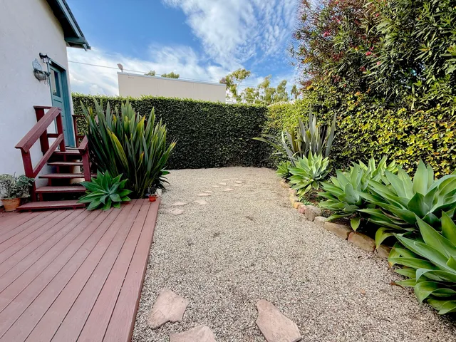 a view of a garden with plants