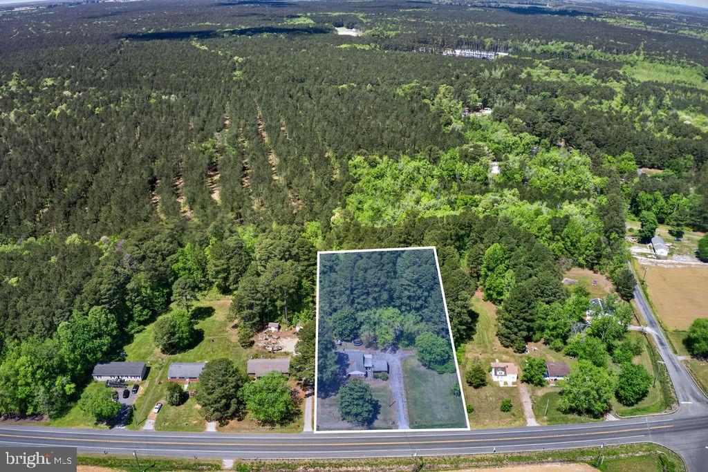 29550 Deal Island Road Princess Anne, MD 21853 - Photo 4 of 50