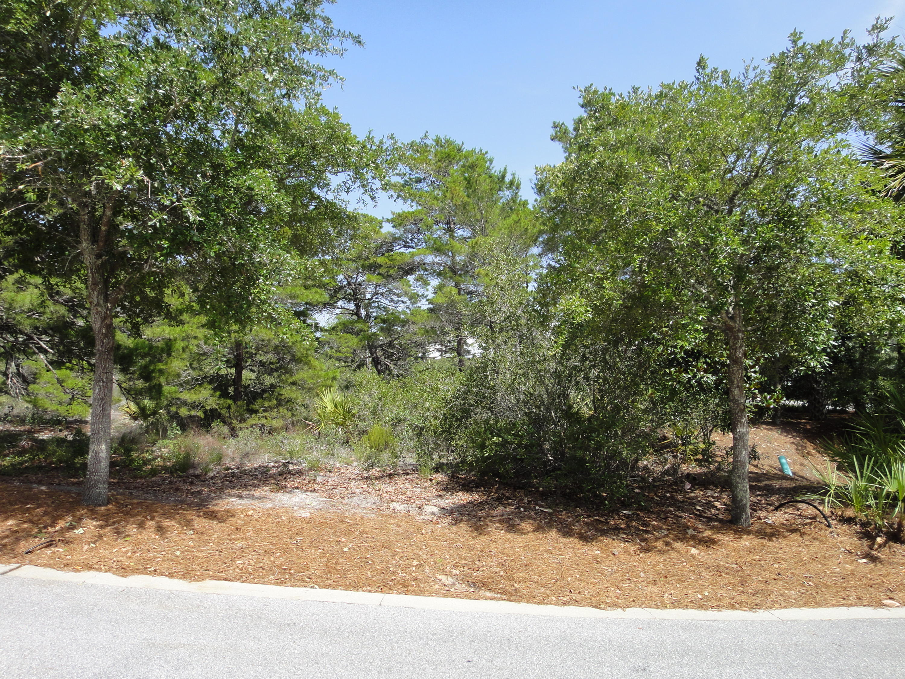 Lot 12 Summit Drive Santa Rosa Beach, FL 32459 - Photo 20 of 84 Beautiful homesite!