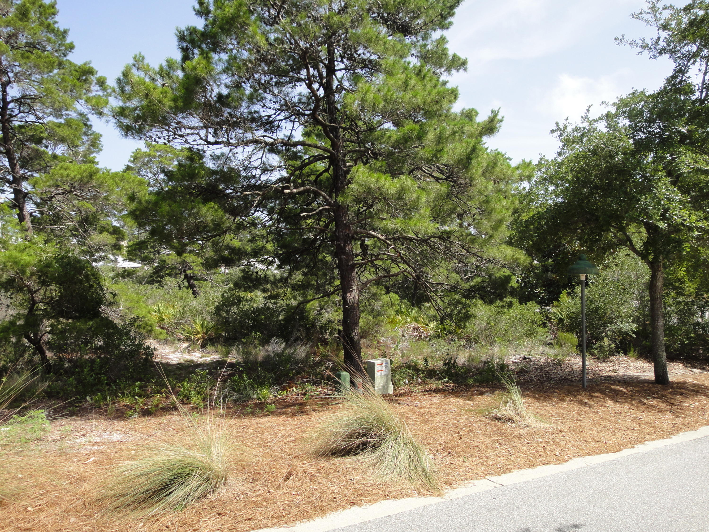Lot 12 Summit Drive Santa Rosa Beach, FL 32459 - Photo 62 of 84 This lot is .13 of an acre!