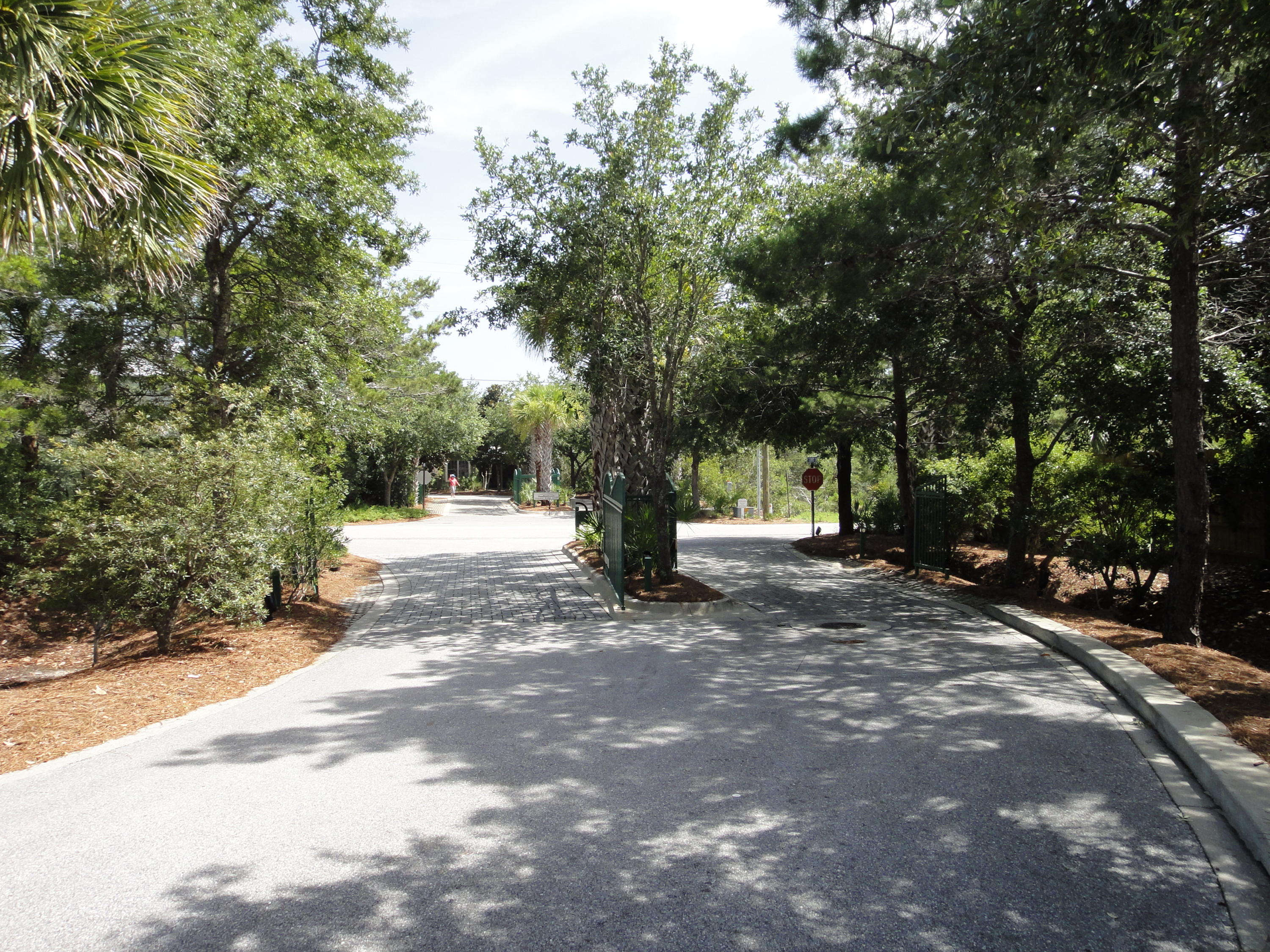 Lot 12 Summit Drive Santa Rosa Beach, FL 32459 - Photo 65 of 84 Lot 12 in the gate to the right